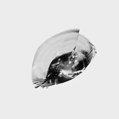 Glass on Demand Half moon
