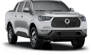GWM P Series 2D/4D LDV 2023- Windscreen